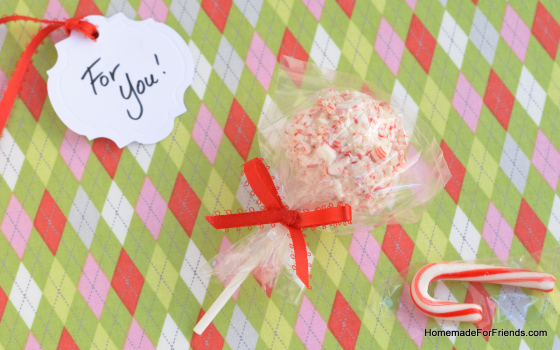 Individually wrapped Fake Pops make a great gift on their own too!