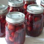 Water Bath Canning: Tips and tricks to home canning.